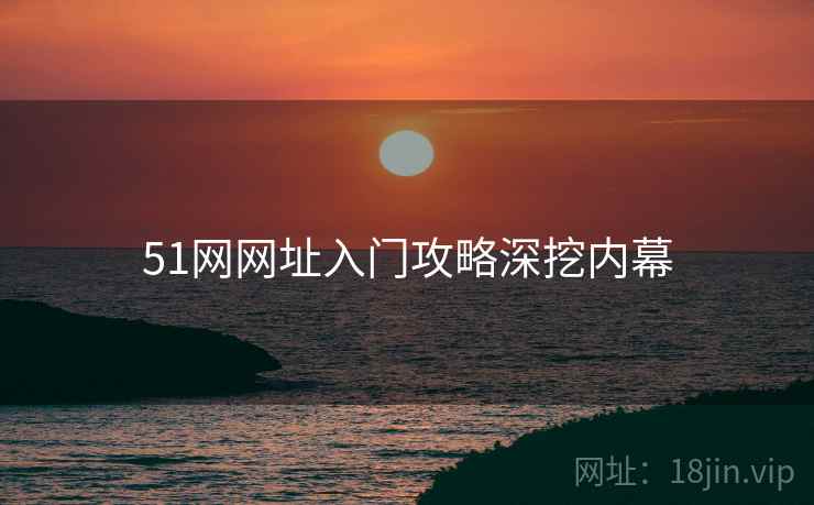51网网址入门攻略深挖内幕