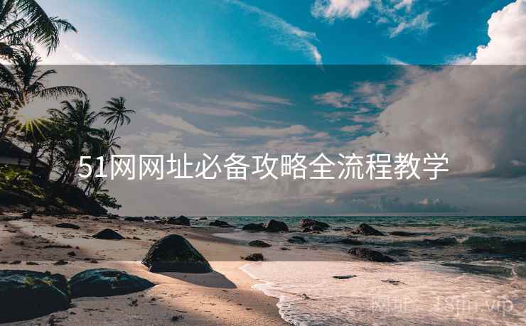 51网网址必备攻略全流程教学