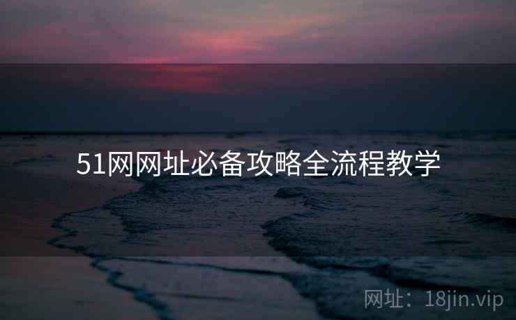 51网网址必备攻略全流程教学