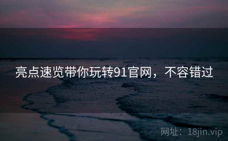 亮点速览带你玩转91官网，不容错过
