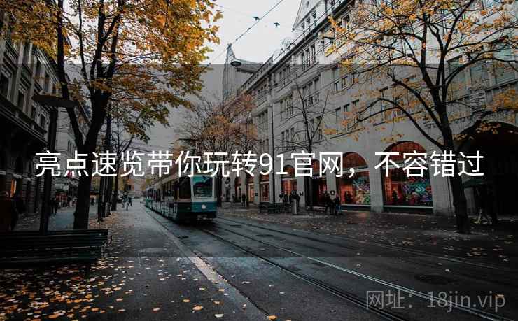 亮点速览带你玩转91官网，不容错过
