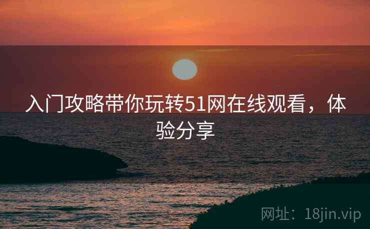 入门攻略带你玩转51网在线观看，体验分享