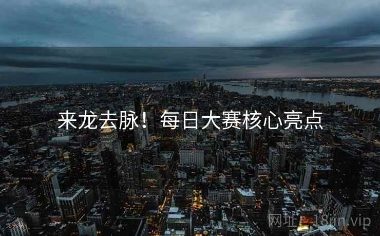 来龙去脉！每日大赛核心亮点