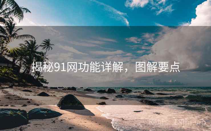 揭秘91网功能详解，图解要点