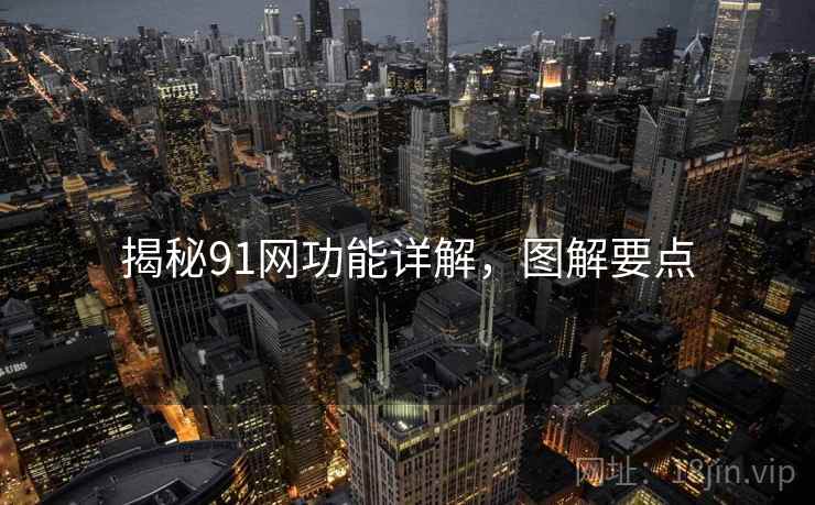 揭秘91网功能详解，图解要点