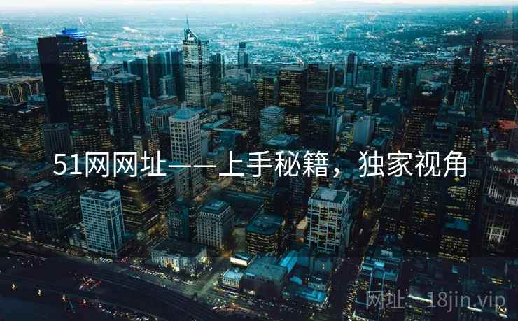 51网网址——上手秘籍，独家视角