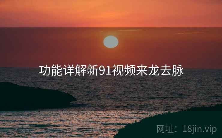 功能详解新91视频来龙去脉