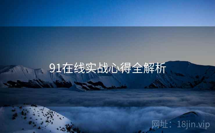 91在线实战心得全解析