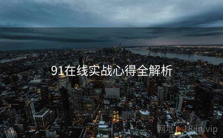 91在线实战心得全解析