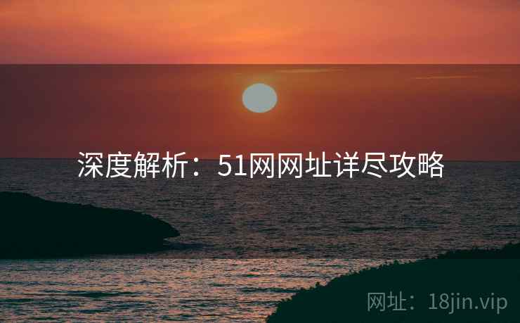 深度解析：51网网址详尽攻略