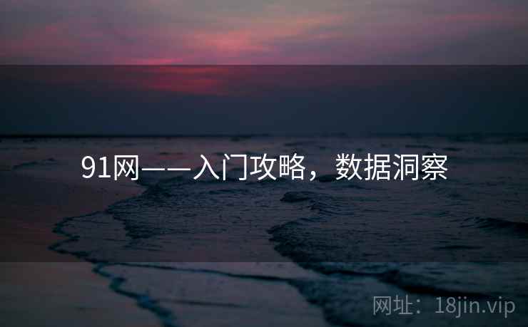 91网——入门攻略，数据洞察