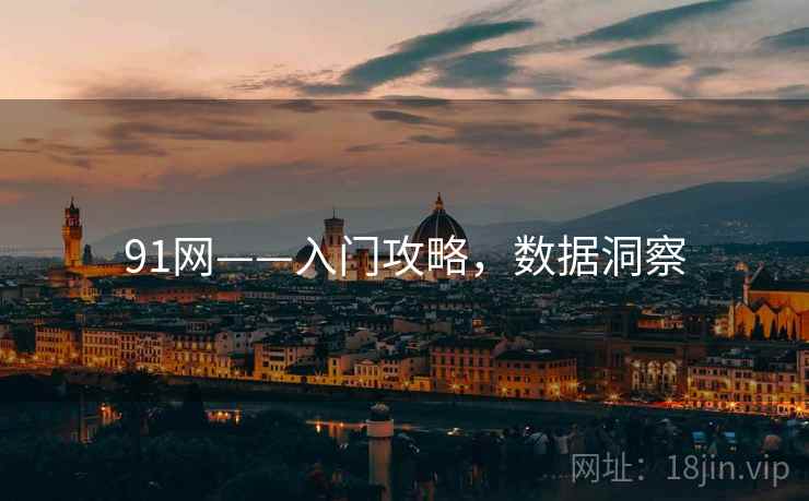 91网——入门攻略，数据洞察