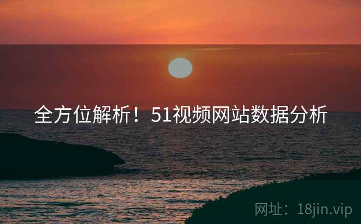 全方位解析！51视频网站数据分析