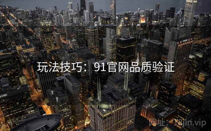 玩法技巧：91官网品质验证