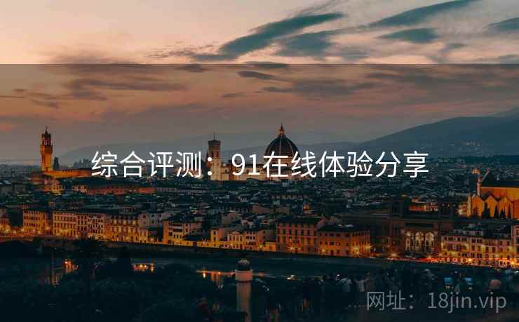 综合评测：91在线体验分享