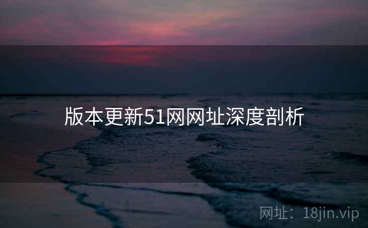 版本更新51网网址深度剖析