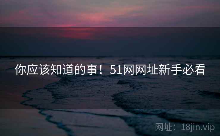 你应该知道的事！51网网址新手必看