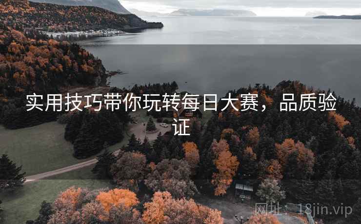 实用技巧带你玩转每日大赛，品质验证