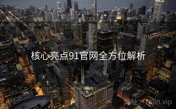 核心亮点91官网全方位解析