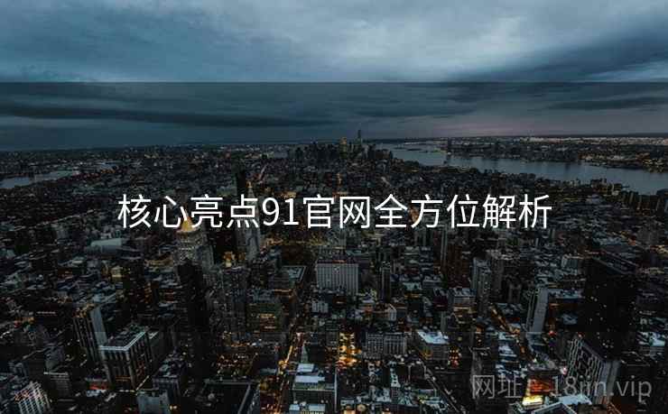 核心亮点91官网全方位解析