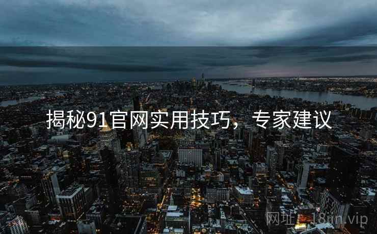 揭秘91官网实用技巧，专家建议