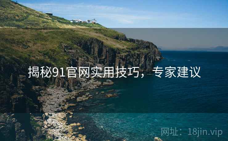 揭秘91官网实用技巧，专家建议