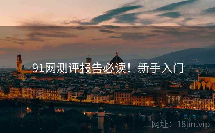 91网测评报告必读！新手入门