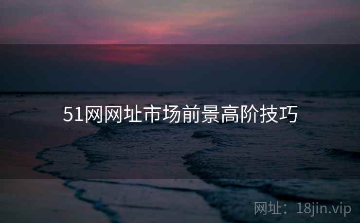 51网网址市场前景高阶技巧