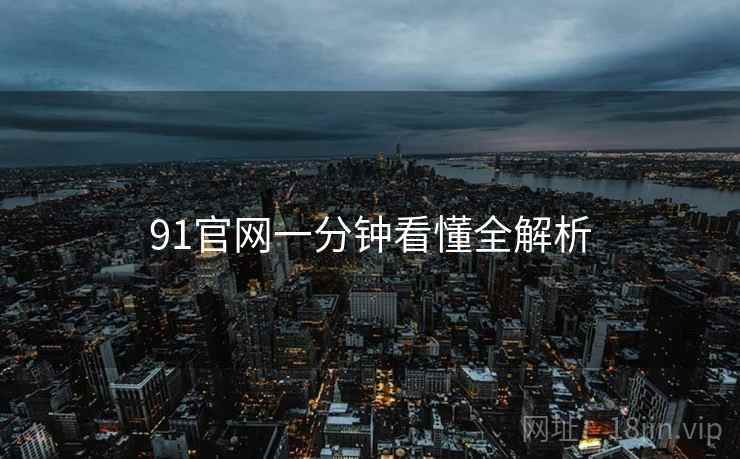 91官网一分钟看懂全解析
