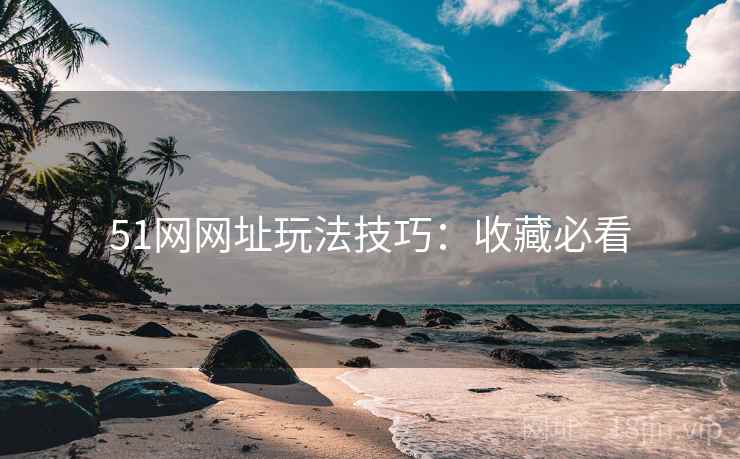 51网网址玩法技巧：收藏必看