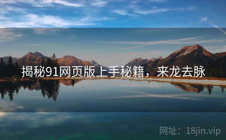 揭秘91网页版上手秘籍，来龙去脉