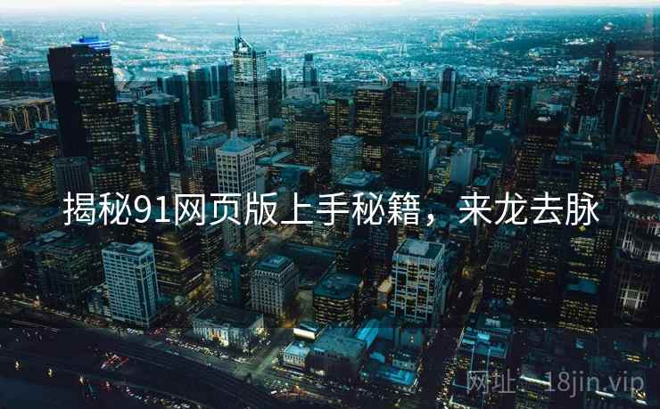 揭秘91网页版上手秘籍，来龙去脉