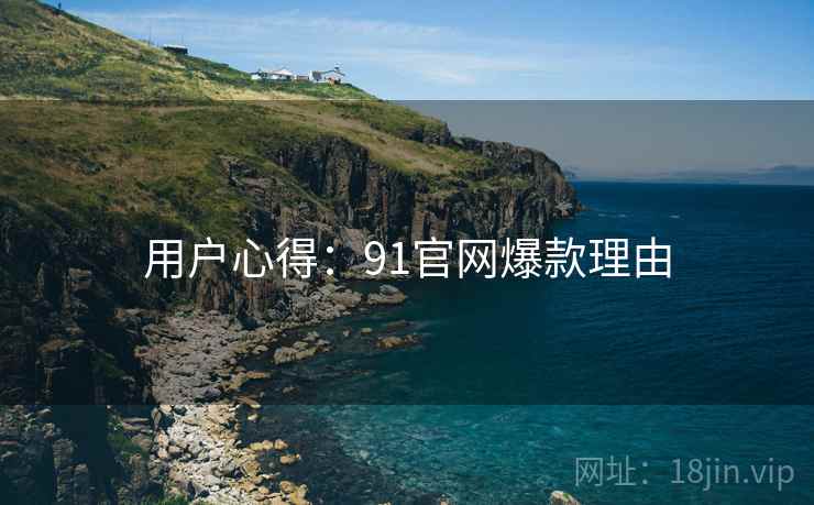 用户心得：91官网爆款理由