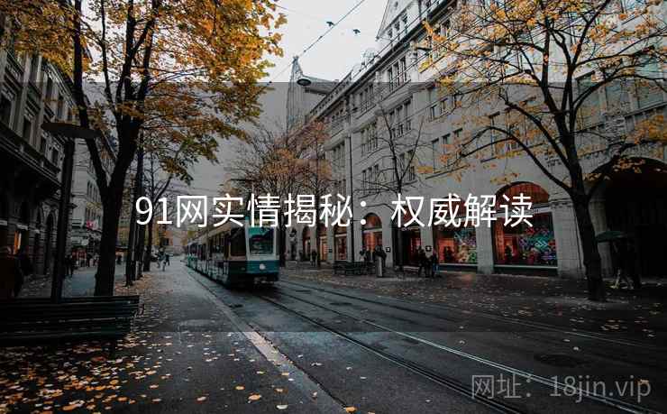 91网实情揭秘：权威解读